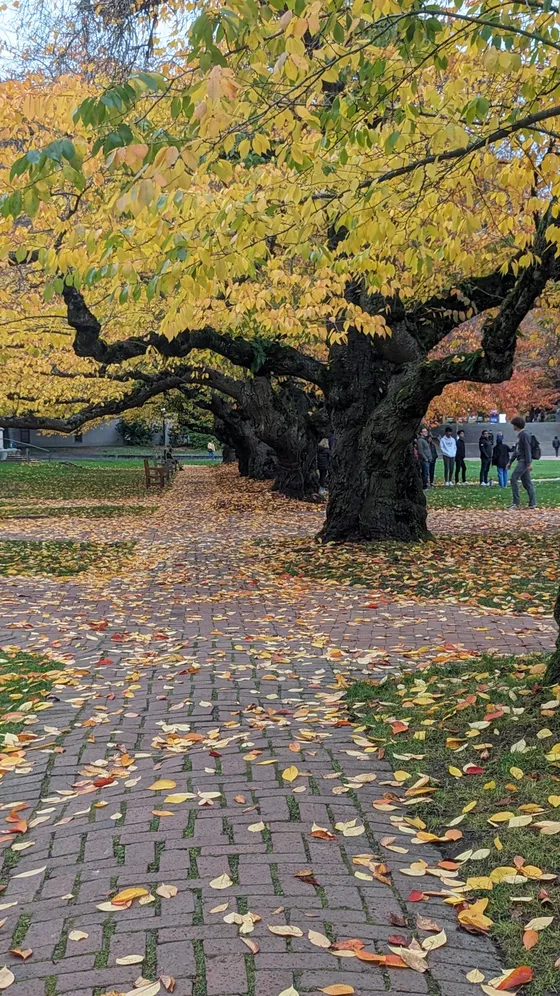 Photo from University of Washington